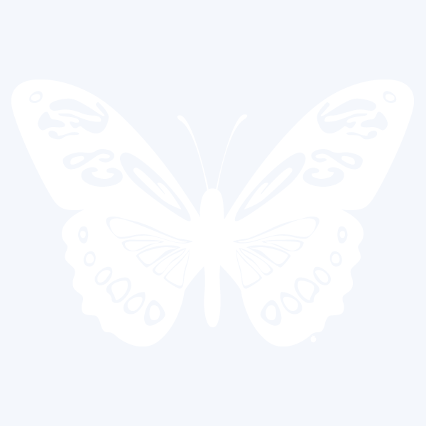 AMAZONBUTTERFLY