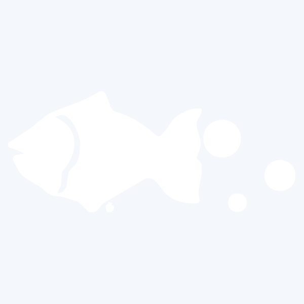 BLUBBLEFISH