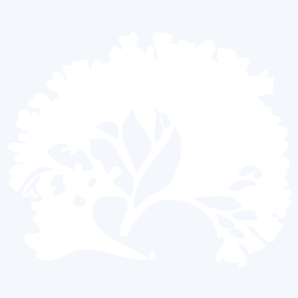 CORALFLOWER
