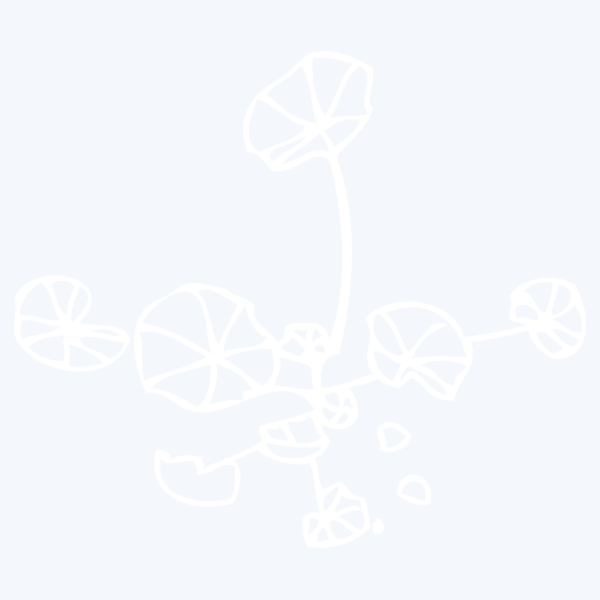 EXOTICSPICE