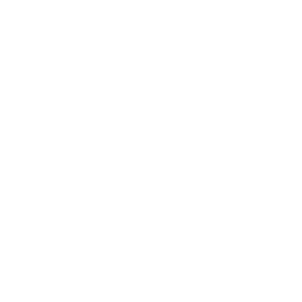 FLYINTHESTARS