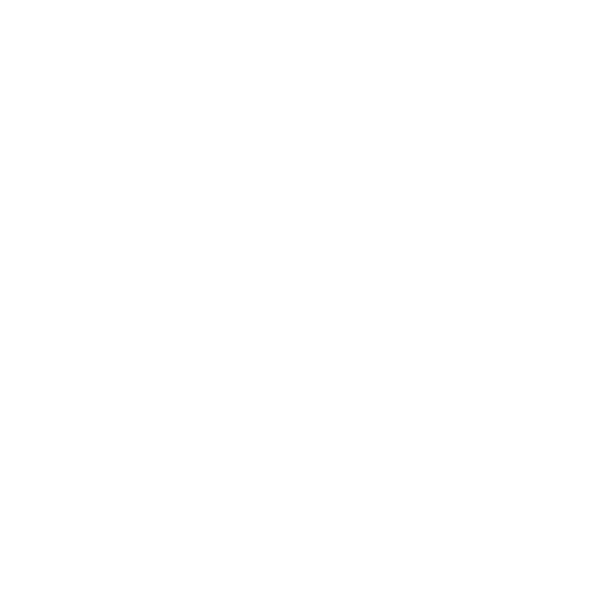 FLYKITEBOY