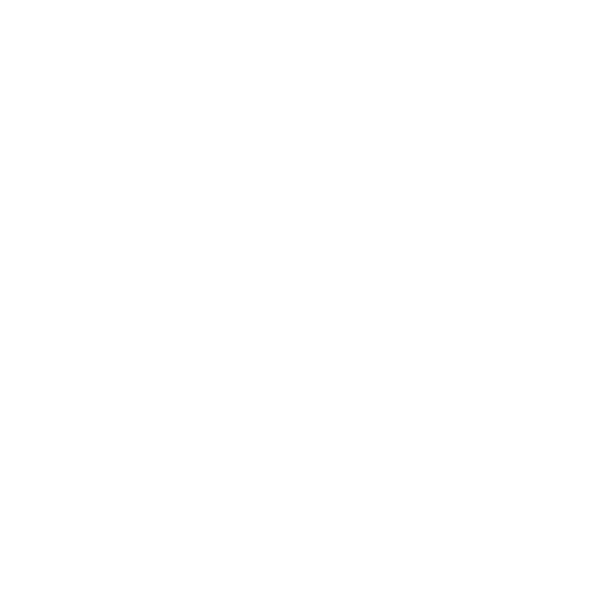 KNIGHTANDFLAG
