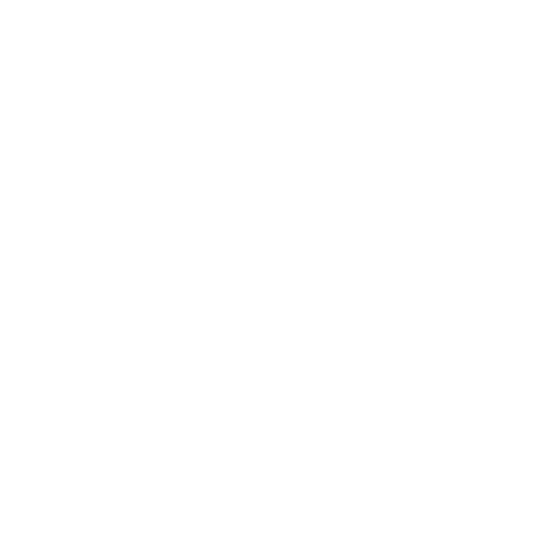 LUSTRE
