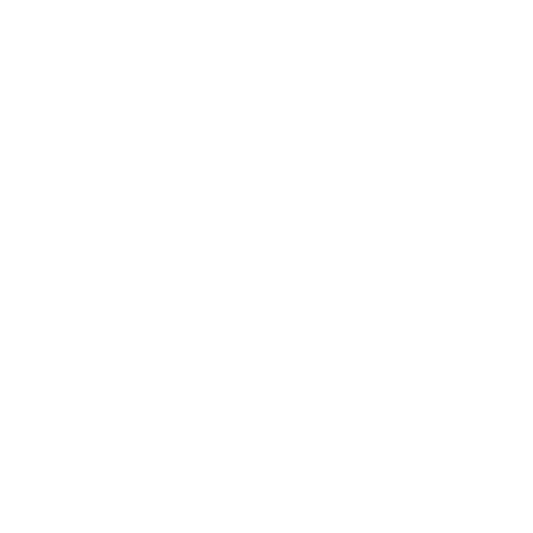 MIRRORDANCER
