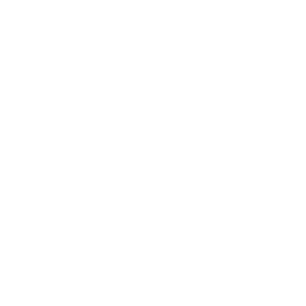 SLOWSNAIL