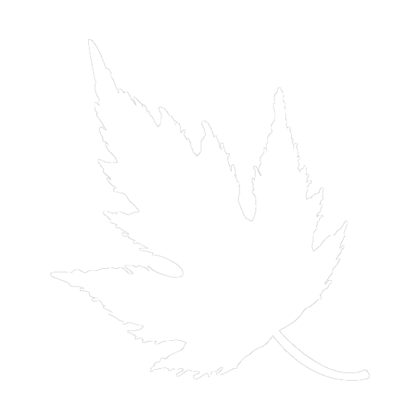 WINTERLEAF