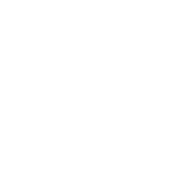 ZEBRASKIN