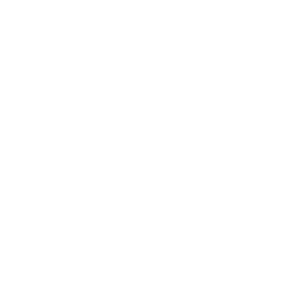 little-ladybird