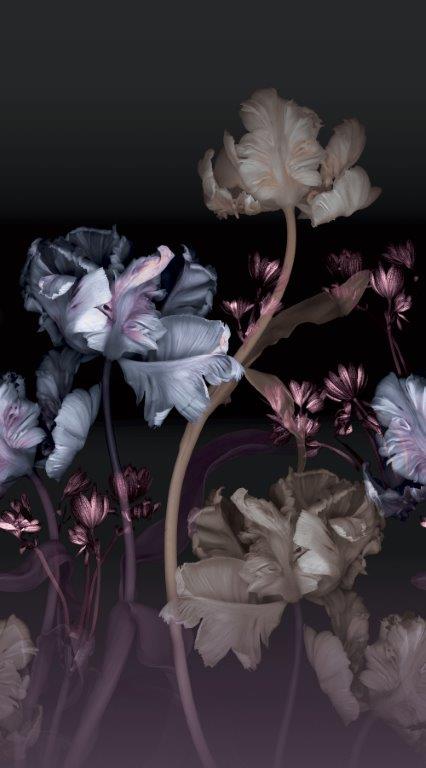 2540N-81_scan_fashionforwalls4