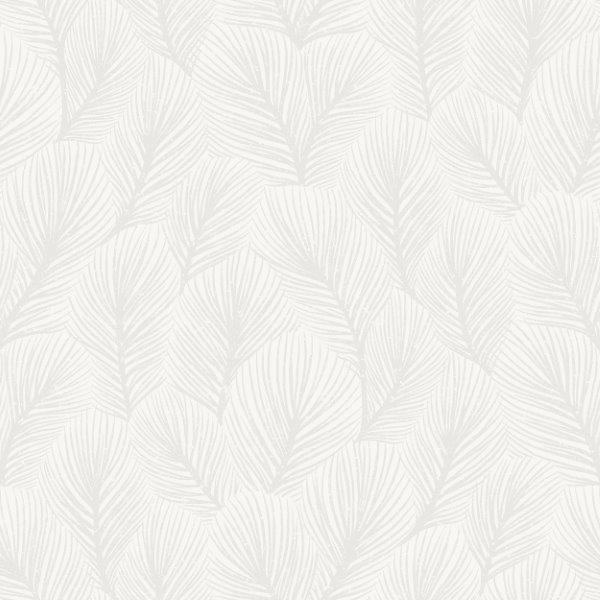 4705_Pine-Tree_Closeup