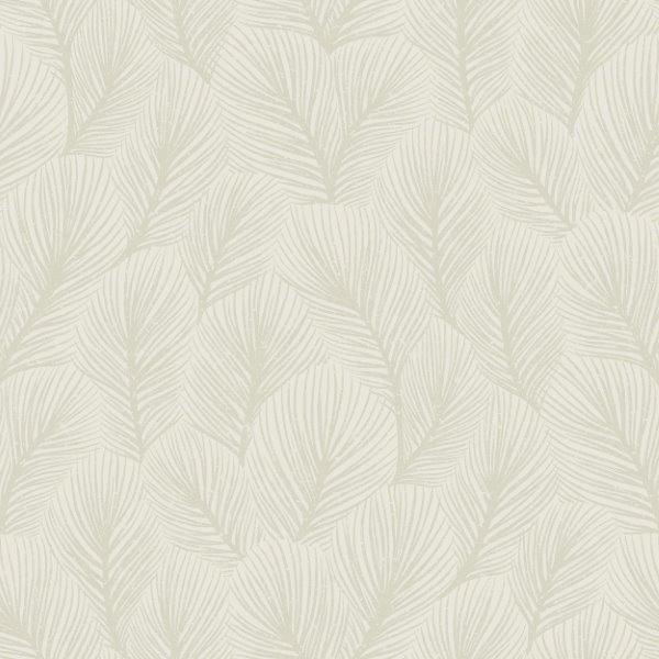 4706_Pine-Tree_Closeup