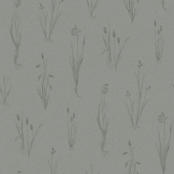 4710_Moorland_Closeup