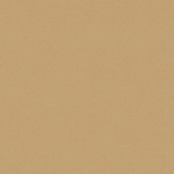 7580_Desert-Sand_Closeup