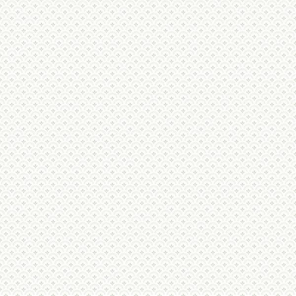7652_Daisy_Closeup