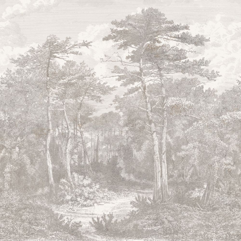 A,View,In,The,Forest,Of,Arcachon,,Vintage,Engraved,Illustration.