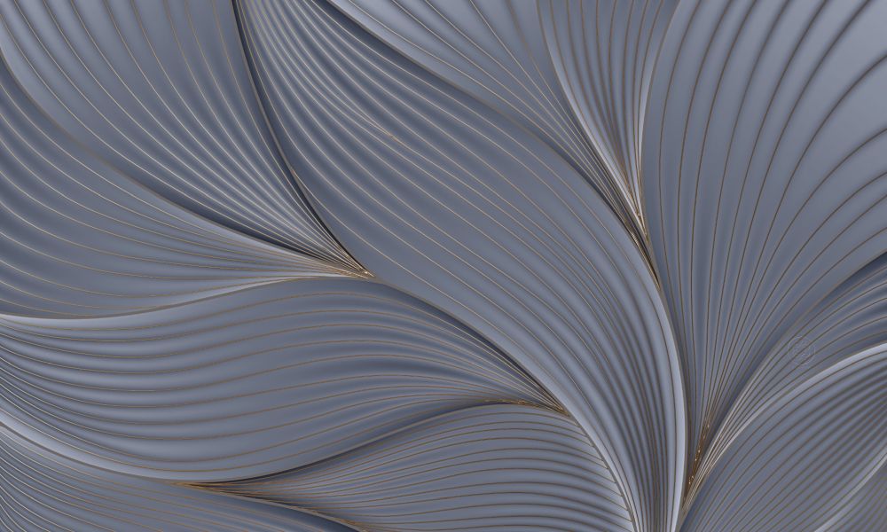 Web