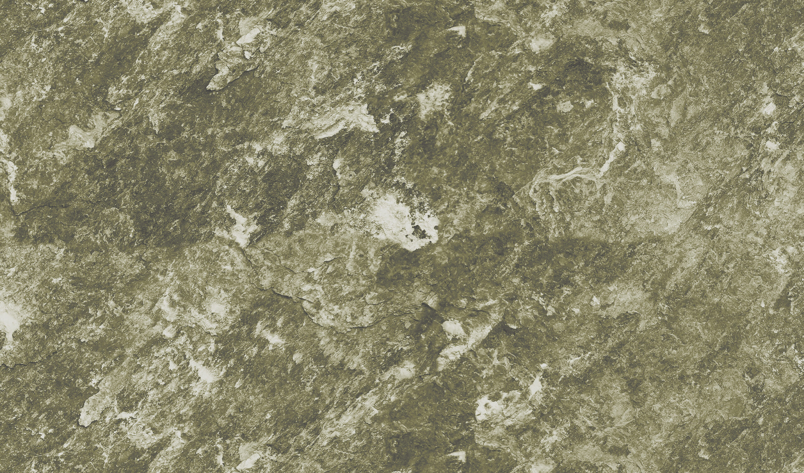 Z47937-1.jpg