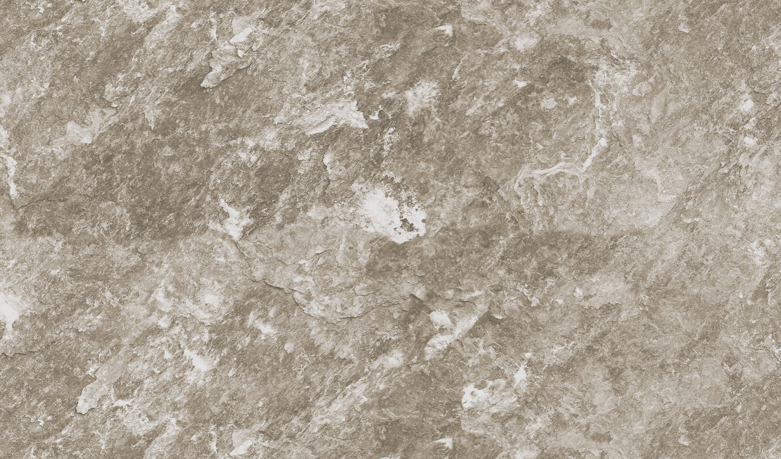 Z47938-1.jpg