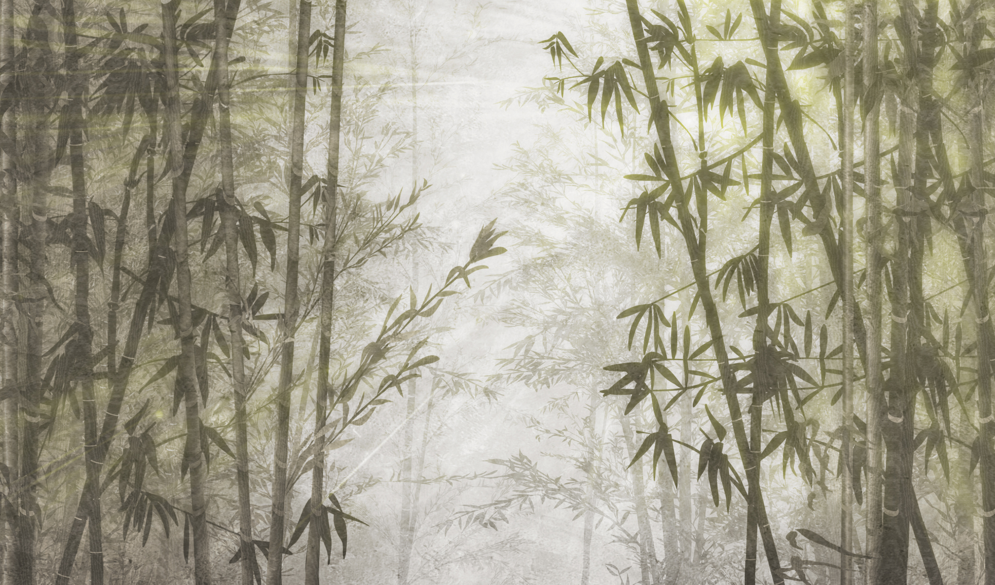 green bamboo and palm forest on white