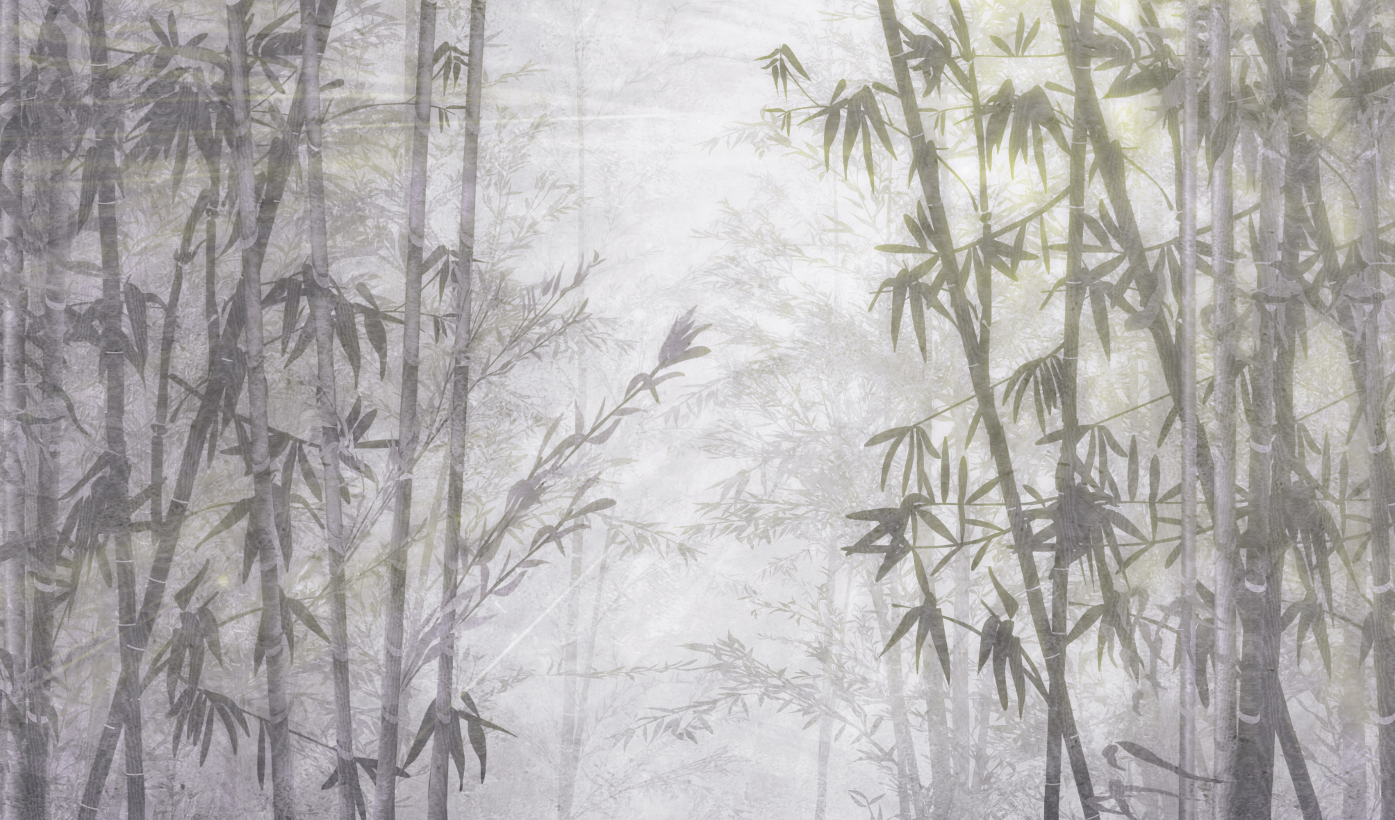 green bamboo and palm forest on white