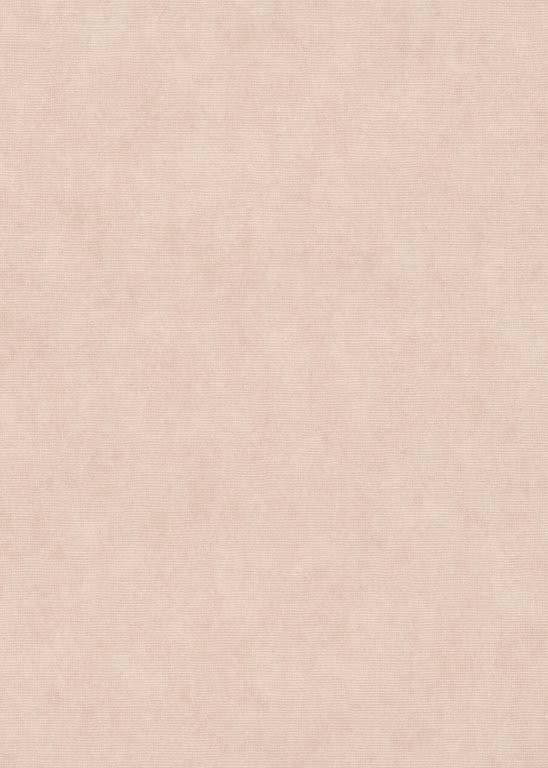 10473-05_scan_elysium