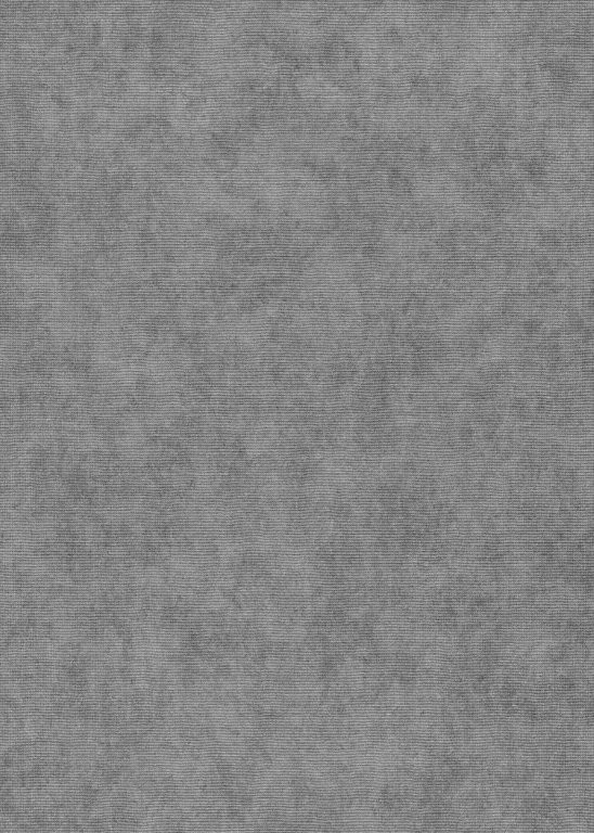10473-29_scan_elysium