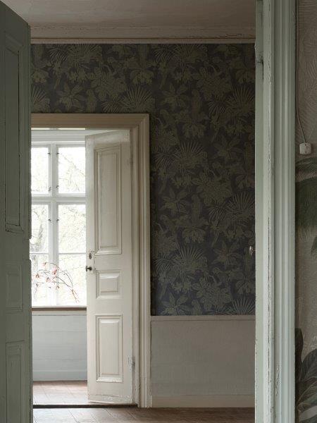 9445w_Parrot_Roomshot