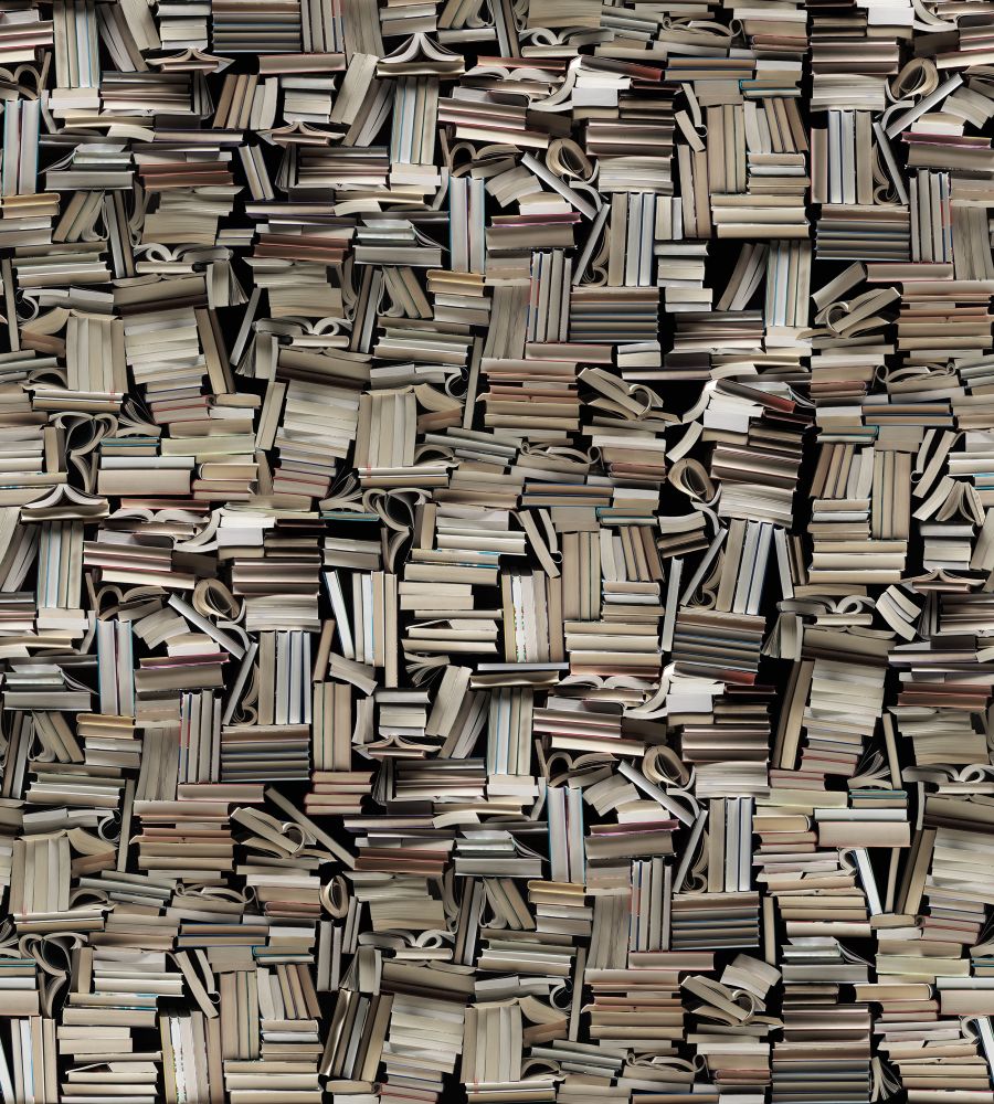 9533W_LightBooks_PatternImage