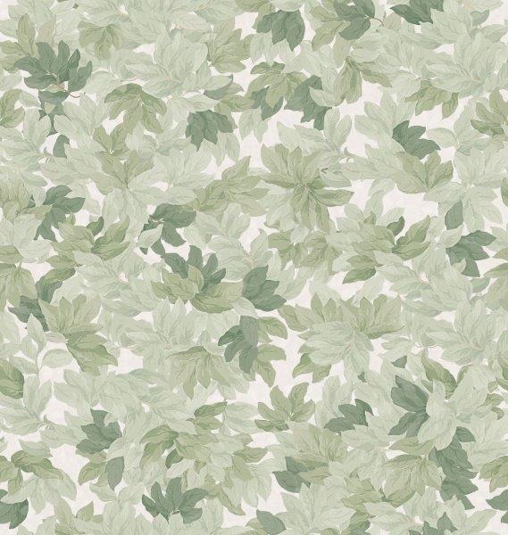 9555W_TreeCanopy_PatternImage