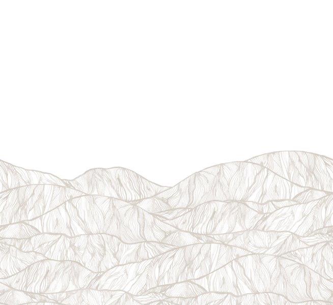 9463w_Mountain_PatternImage