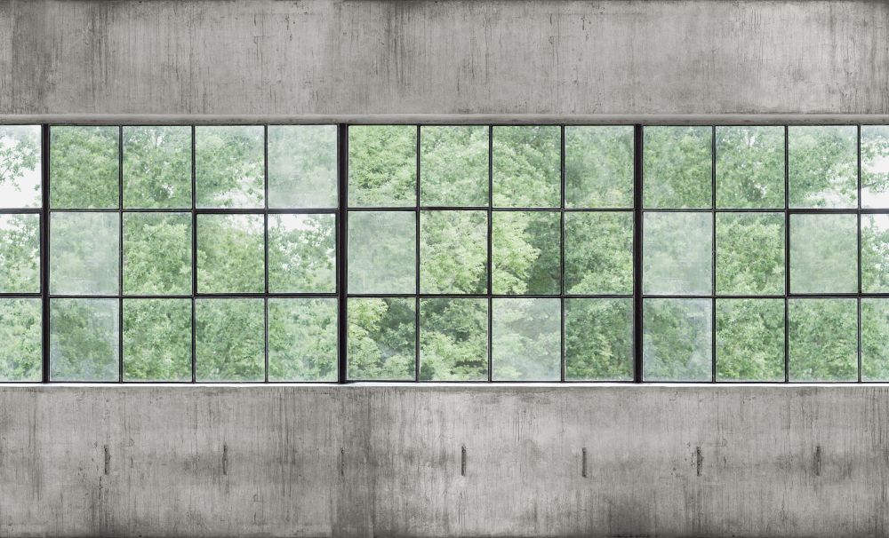 9514W_ConcreteWallWindows_PatternImage