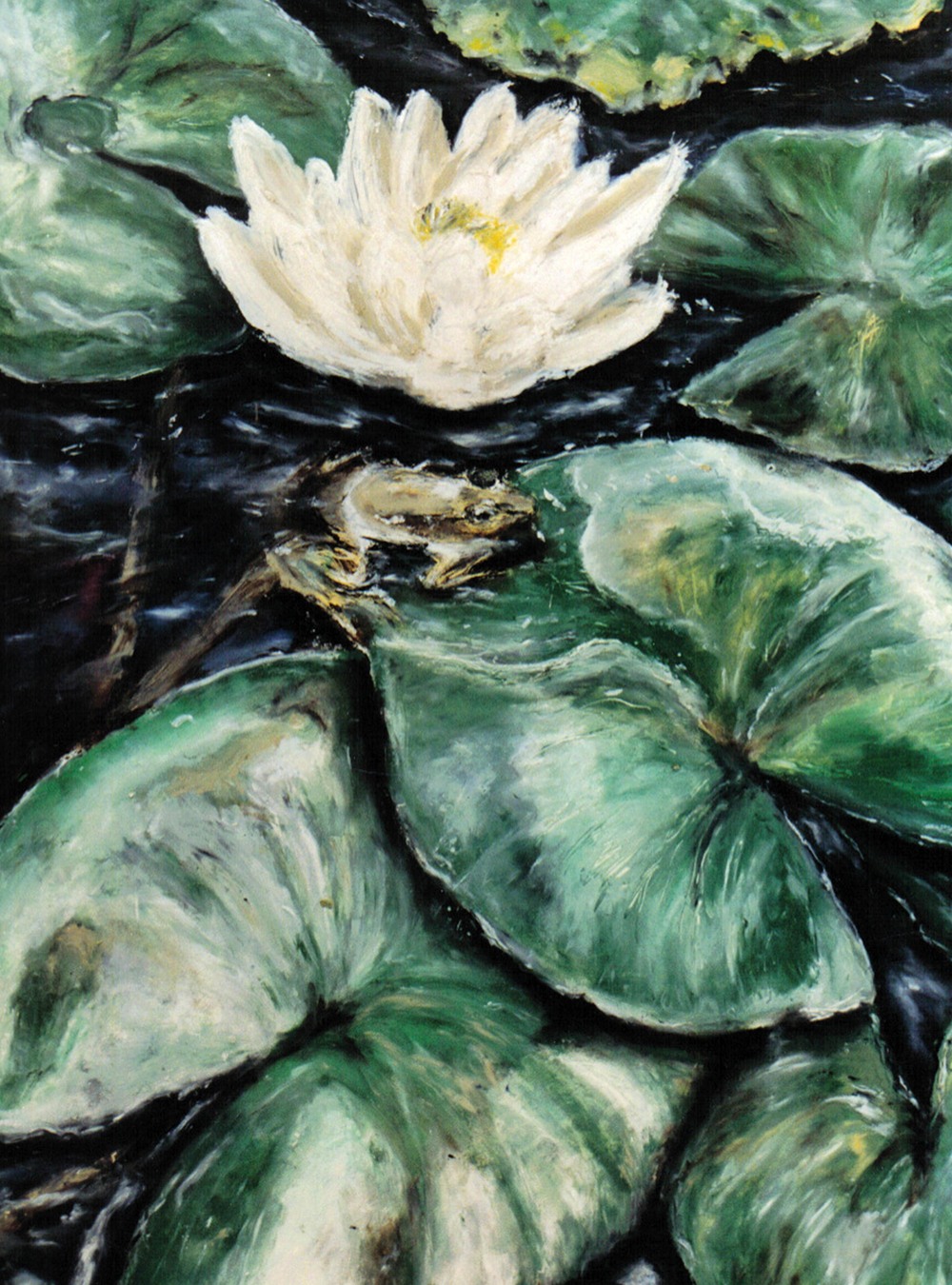 DY9013_scan_artedition
