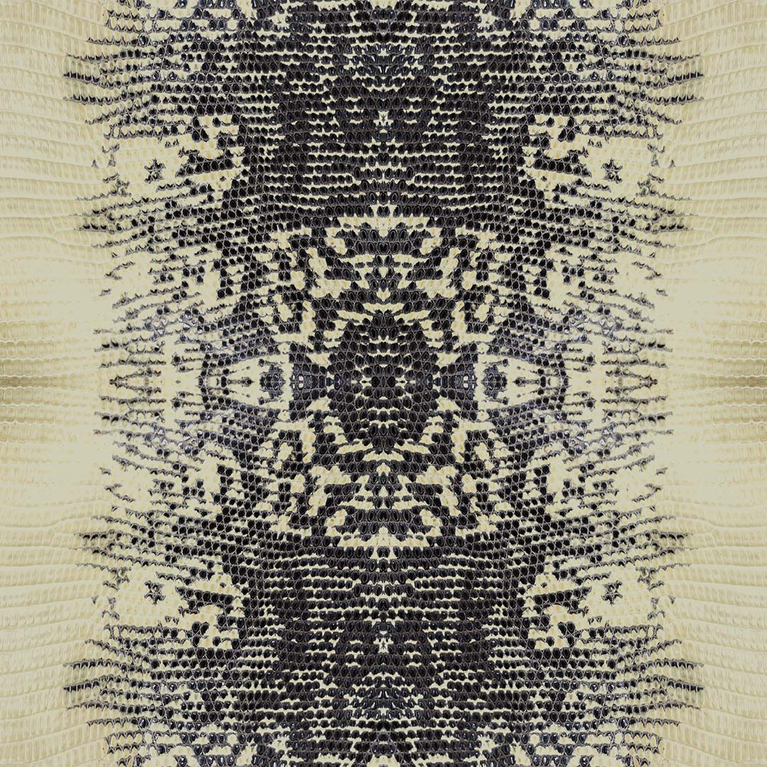 NH250040_3