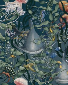 8153_UnderwaterMagic_CroppedImage