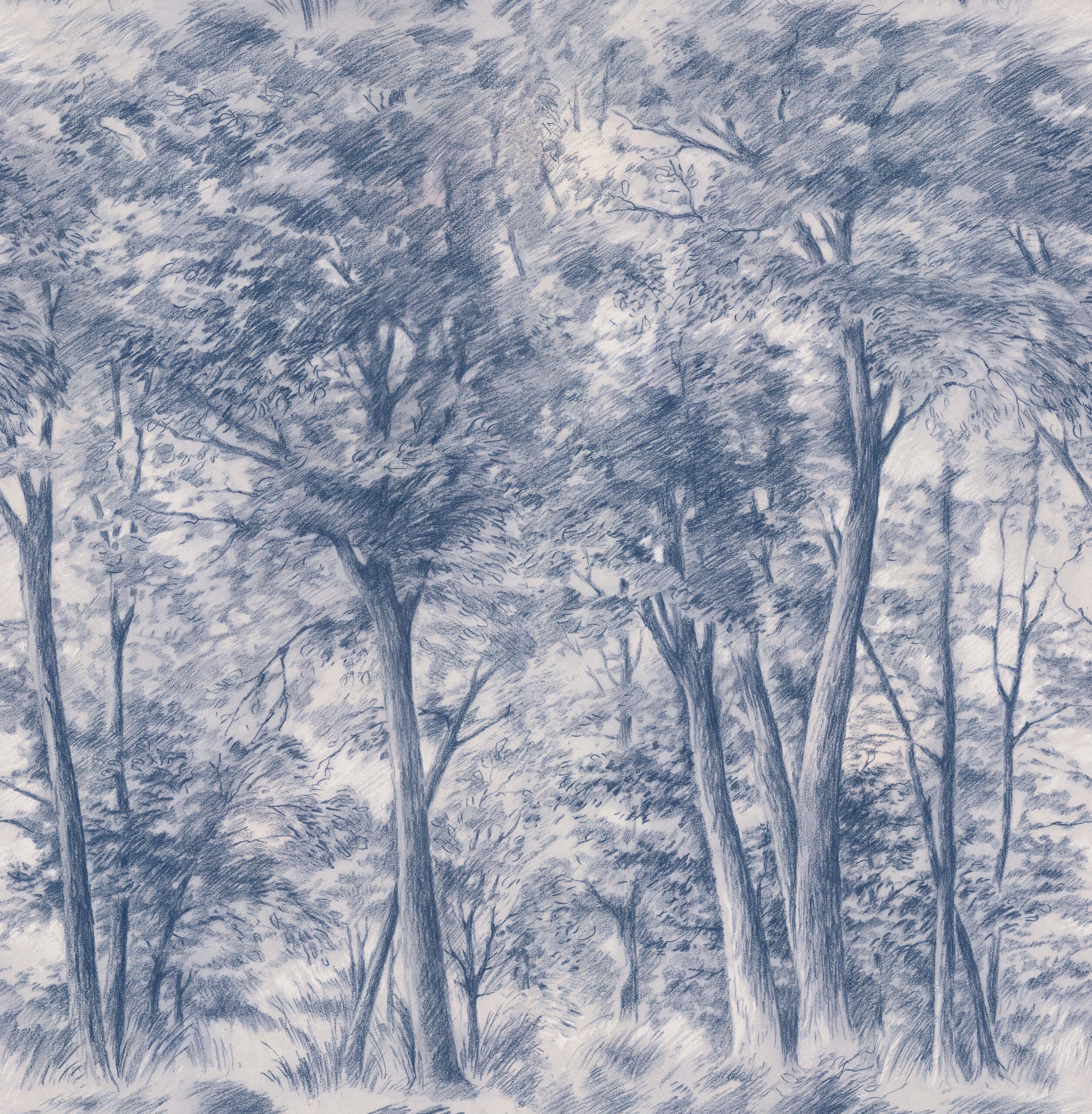 9633W_SketchofTrees_PatternImage