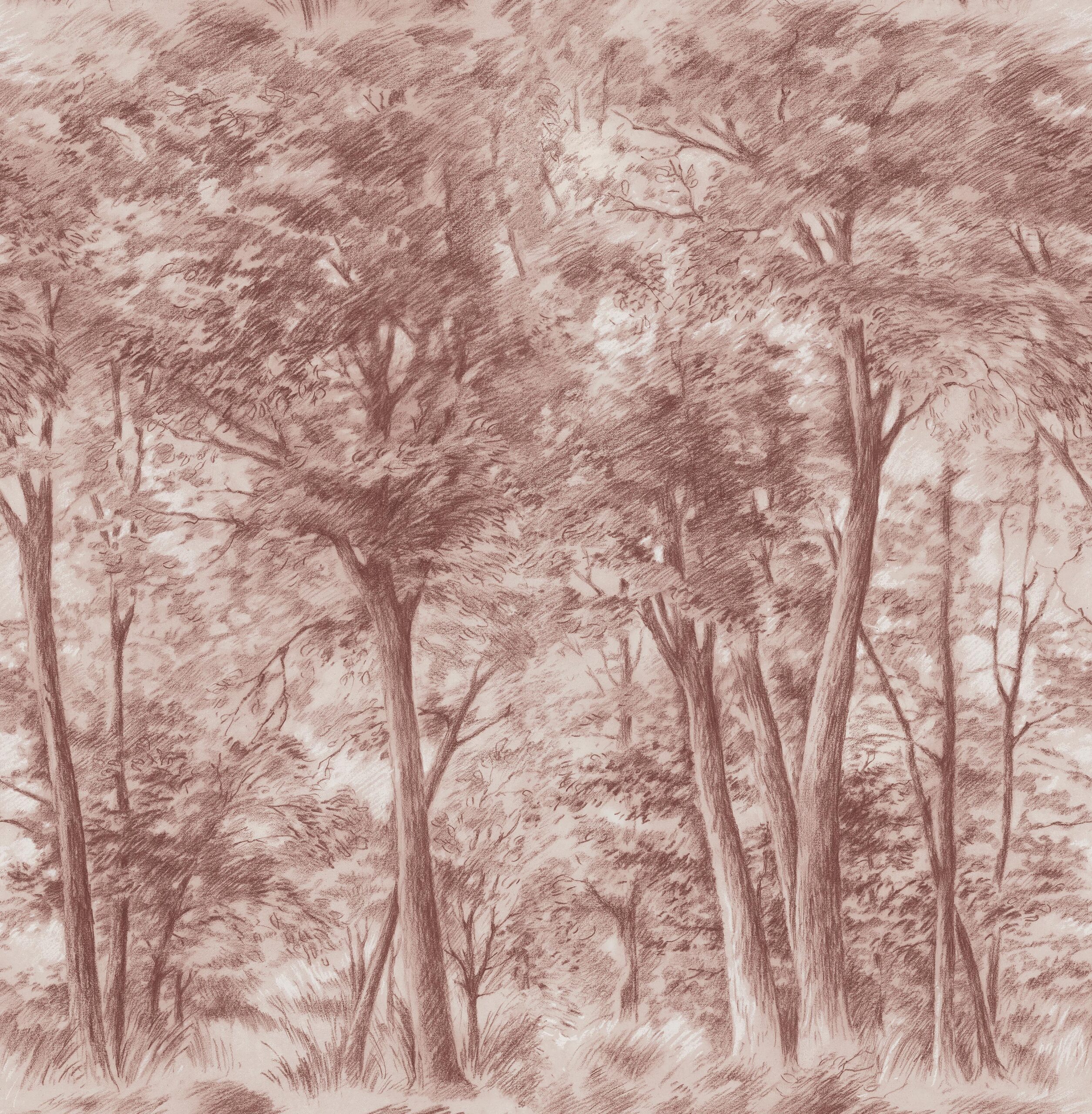 9634W_SketchofTrees_PatternImage