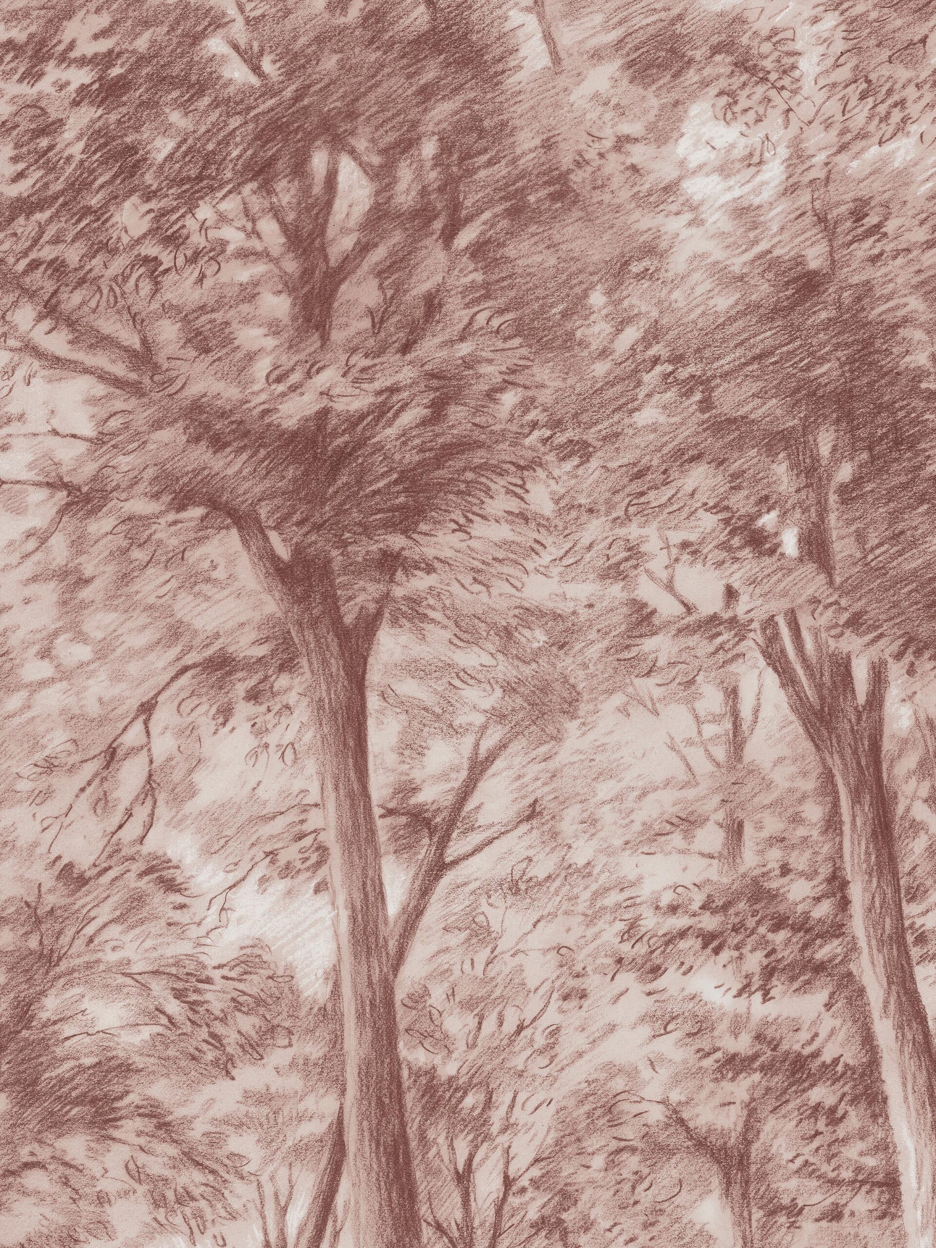 9634w_SketchofTrees_Closeup