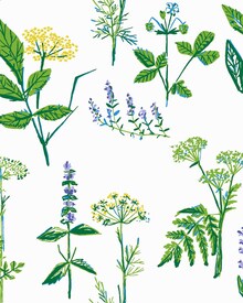 Scandinavian Designers; design 1789 Koksvaxter